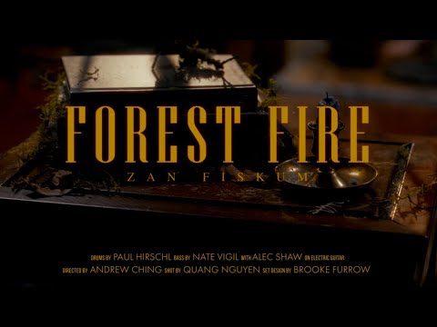 ZAN - Forest Fire (Tiny Desk 2024)