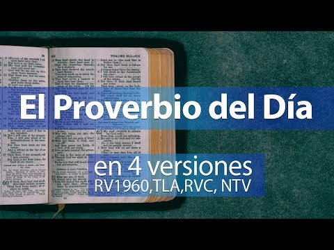Proverbio del día 24 - Biblia Hablada - 4 Versiones - AudioBiblia - RV1960,TLA,RVC, NTV
