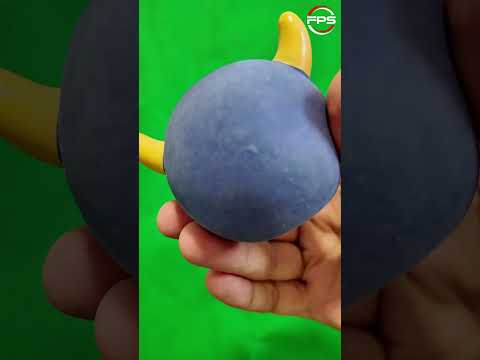 The Squeaky Sound Every Dog LOVES 🐶💥 #shorts