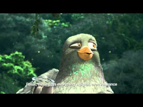 ⁣The pigeons in Brazil