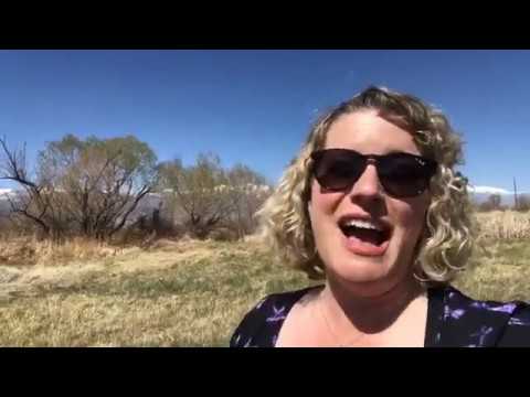 Pastor Anna Musings   March 27, 2020