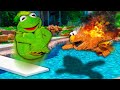 Kermit The Frog And Elmo S EXTREME Summer Belly Flop Challenge