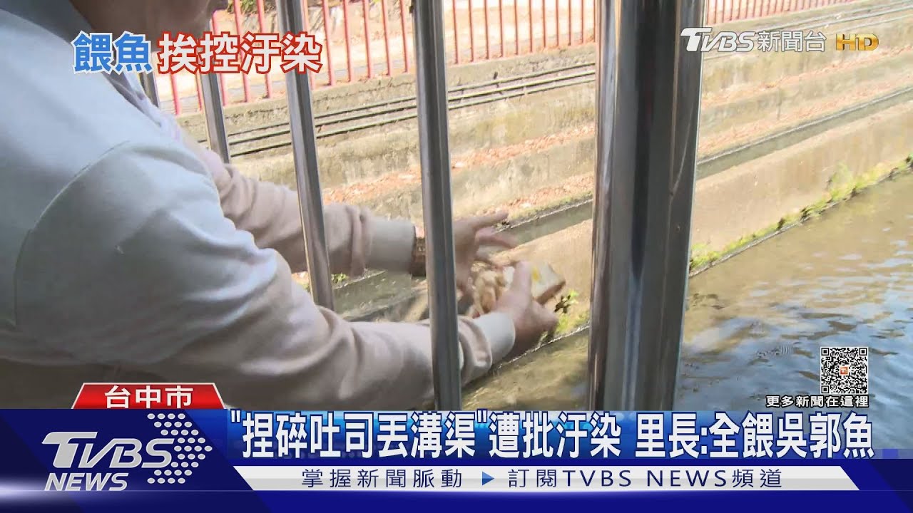 「捏碎吐司丟溝渠」遭批汙染 里長:全餵吳郭魚