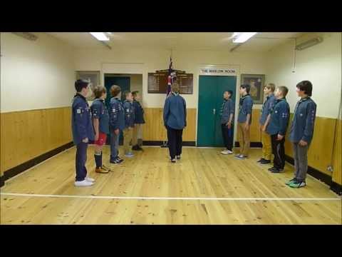 Harlem Shake 46th Kingswood Scout edition