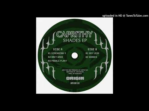 Caprithy-Say Less