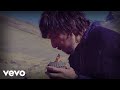 León Larregui - Birdie