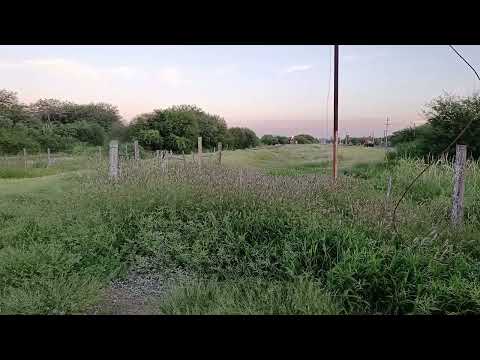 Alco (8255) + Alco (8272) ambas livianas parten desde "El Dv. Vilmer" rumbo a La banda 🚂🌇