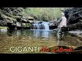 HUNTING THE RIVER MONSTERS Ep1 A Trout For Two