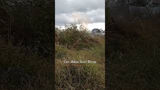 Download lagu story wa | lirik lagu karo mp3