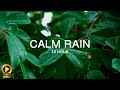 10 Hour | Spiritual Rain Meditation | Insomnia | Study | Focus | Spa | Calming Background Ambience