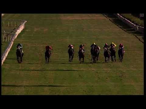 rm 20211024 03 p dormello