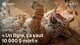 Saint-Édouard Zoo: Behind the Scenes of Quebec's Amateur Zoos | Investigation