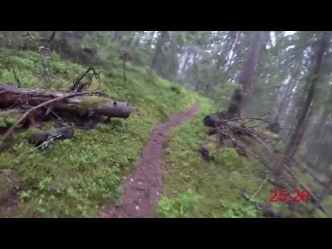 Gallaberget Trailrun 2019 - 10 km (Löparperspektiv, 2x)