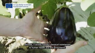 Organik Tarım Hakkında Bilmeniz Gerekenler-Organic Farming What you need to know