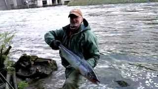 preview picture of video 'Salmon Fishing Ireland 2013. The Dam Fishery. ( HD )'