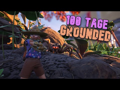 100 Tage Grounded - Das war meine Reise.