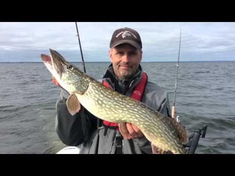 Team Kuling: Trolling på Hjälmaren