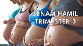 Download lagu SENAM HAMIL TRIMESTER 3 - AGAR POSISI BAYI OPTIMAL (MASUK PANGGUL) | PRENATAL YOGA mp3
