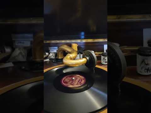 Would You Like to Take a Walk - (Chick Bullock) Jack Berger's Hotel Astor Orch Conqueror  #7688 1936