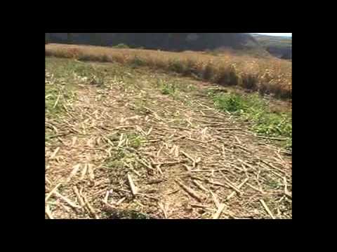 EA4RCU/P DCE CM-024 Alboer