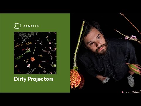 Dirty Projectors Breaks Down the IVO SHANDOR I Sample Pack | LANDR Samples
