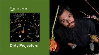 Dirty Projectors IVO SHANDOR I Pack | LANDR Samples