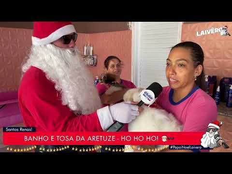 PAPAI NOEL LAIVÊRO - BANHO E TOSA DA ARETUSE