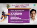 Banke Bihari - Jagjit Singh - Krishn Bhajan | Krishna Janmashtami Songs