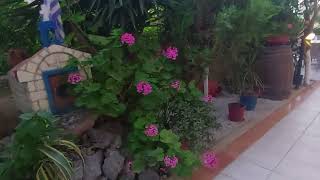 A Tour to Minas Apartments Hersonissos in Crete, Greece