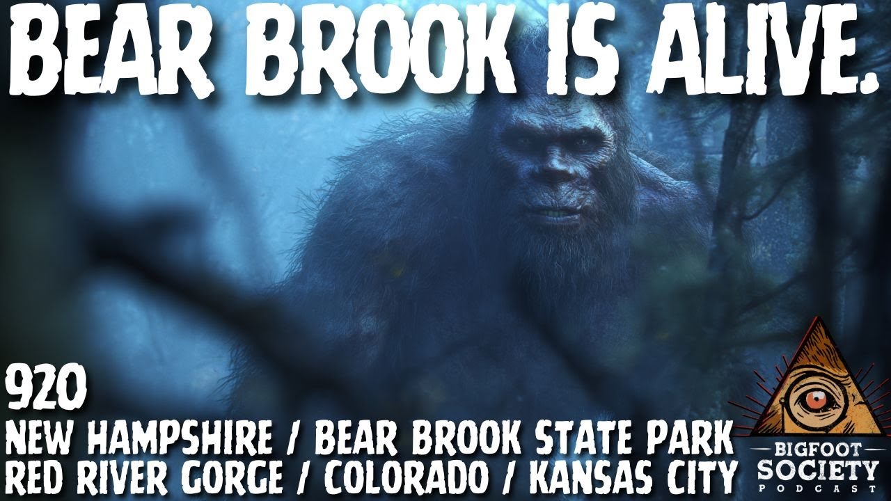 Bear Brook is ALIVE! | New Hampshire