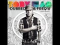 Tobymac - Captured (KP Remix) - Dubbed & Freq'd