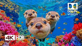 🐋 Mysterious Deep Ocean Creatures 4K HDR | Explore the Hidden World Beneath the Waves gameplay video by saraqmv, 151:08 duration