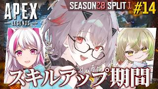 【APEX】#14 [ S28 sp1 ] 今週のノルンズ① w/ノルンズブロッサム【OUR STORY / 柚華蓮】