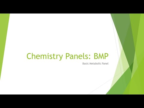 Basic Metabolic Panel - BMP