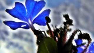 Uniti dal Cielo e dal Mare  by "effe"