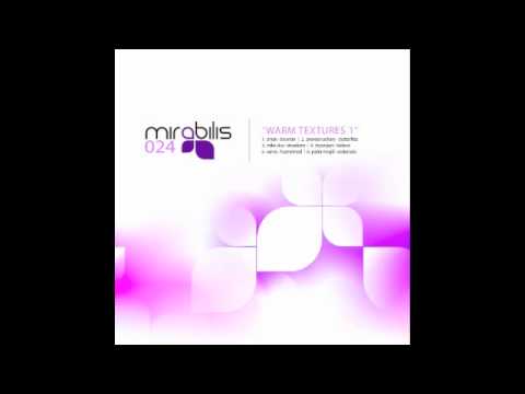 Praveen Achary - Butterflies (Original Mix)