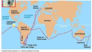 EVOLUZIONE - DARWIN E MENDEL - prima parte