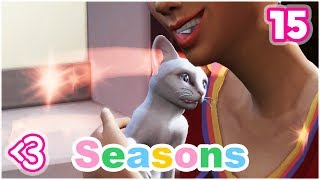SEASONS LP #15 // Playful Puddles!!!