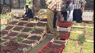 TARIM KREDİ KOOPERATİFLERİ TANITIM FİLMİ