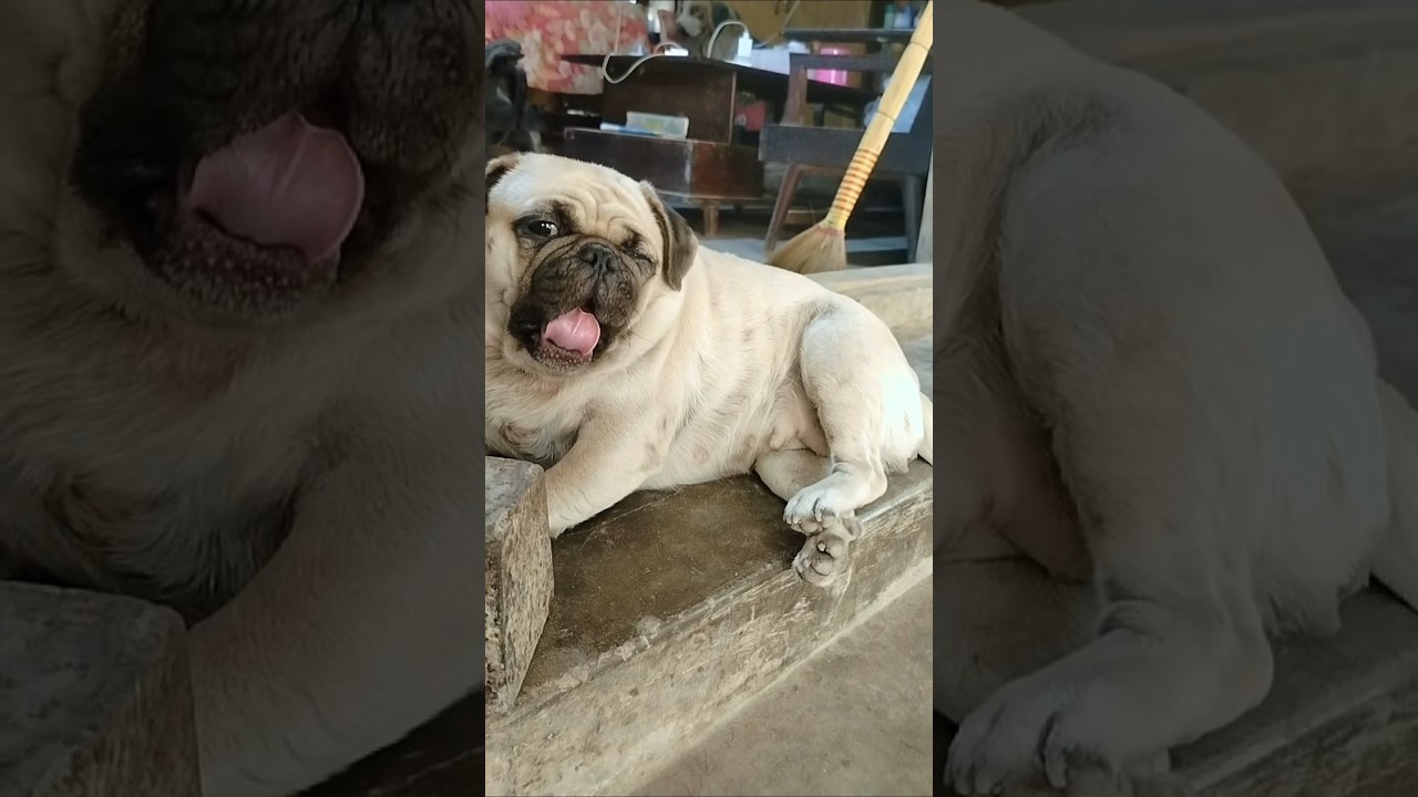 ချစ်ဖို့ကောင်းနေရော