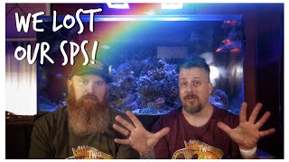 Alkalinity Spikes - Or How We Lost Half Our Corals - 180 gallon Custom Mixed Reef Tank Update