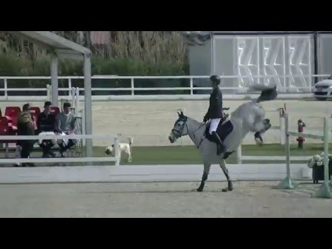 Cassano S  - 140 Bronze final