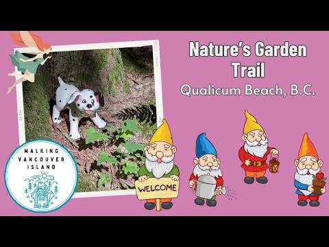 Whimsical Forest Secrets & Named Tree Stumps?! Exploring Nature's Garden Trail in Qualicum Beach 🌿🪵