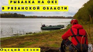 Платная рыбалка на хищника в рязани