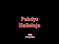Puhdys - Halleluja(Lyrics)