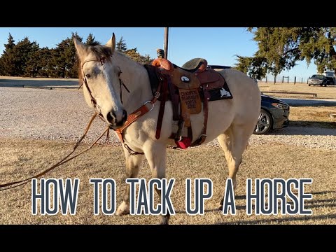 How to Tack up a Horse Western