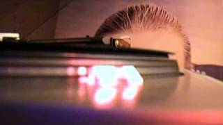 Bijelo Dugme - Lova - Doživjeti stotu (Vinil LP 1980)