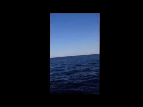 G4 Bone ON THE SPILLGANG BOAT!