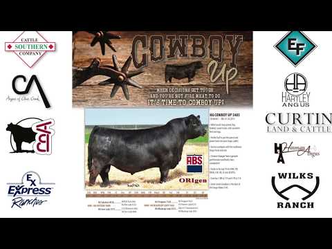 Wilks Ranches - Cowboy Up Promotional Video 2018