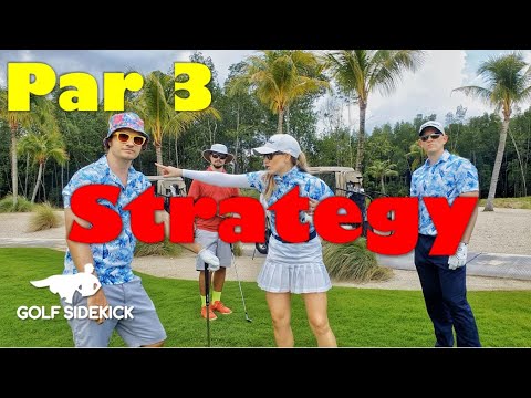 Perfect Par 3 Challenge: A Hole for Every Golfer